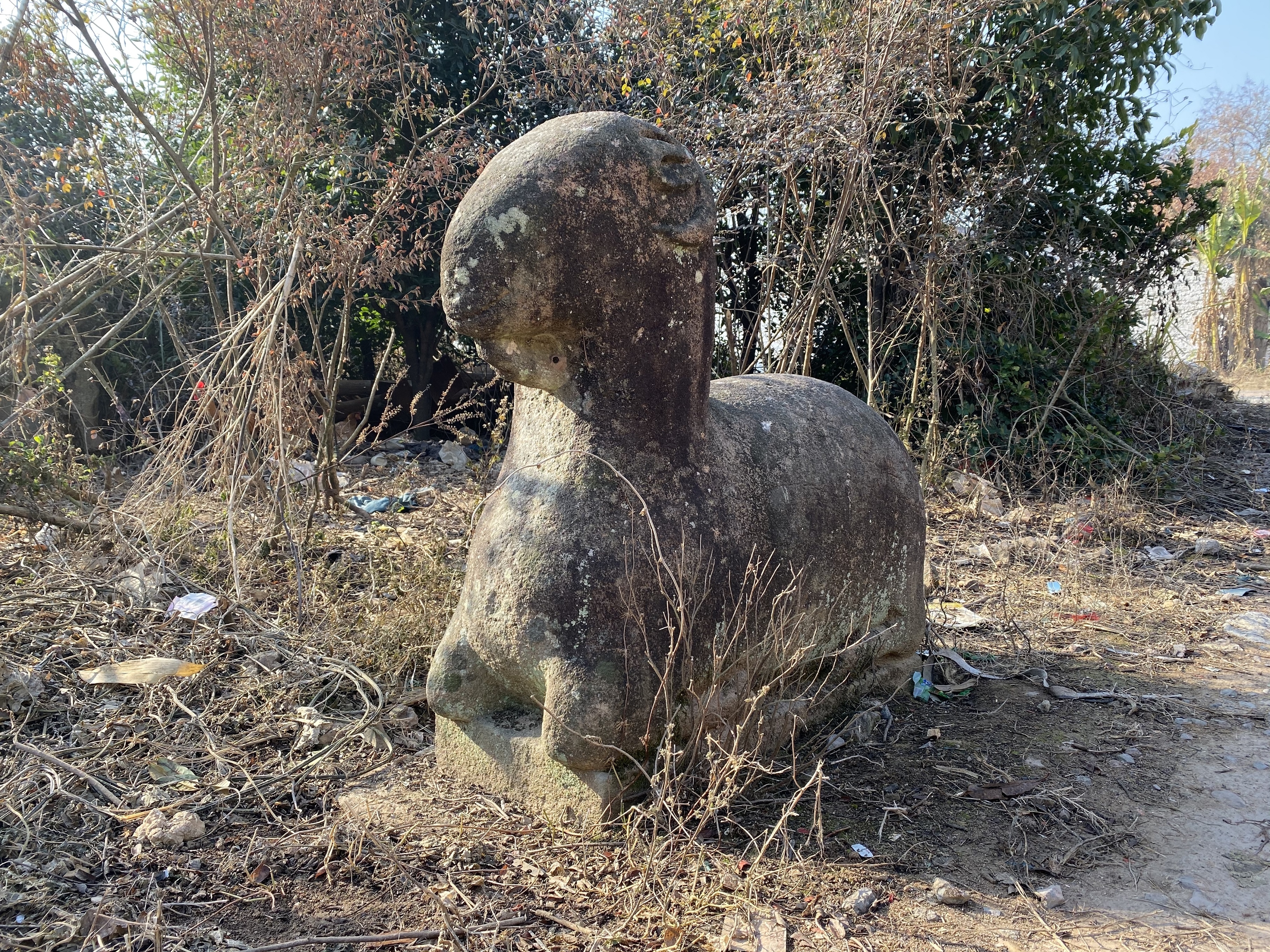 微信图片_20191211194002.jpg