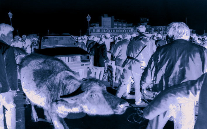 牵牛走过拥挤的通济桥(1993年摄) 牵牛走过拥挤的通济桥(1993年摄)