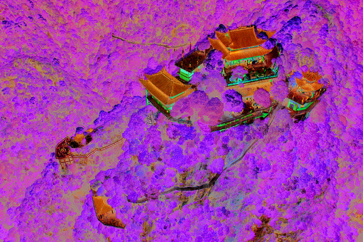 W020200117399026050831.png