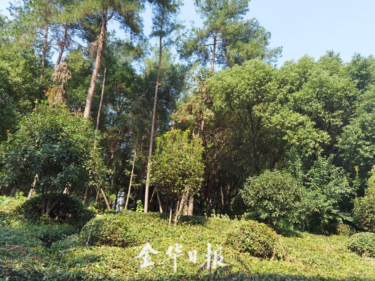 微信图片_20201106161242.jpg