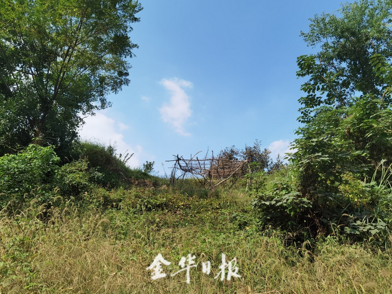 微信图片_20201106151438.jpg