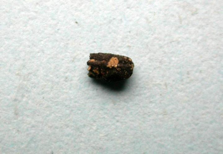 24.万年一粒米。上山遗址出土。.jpg