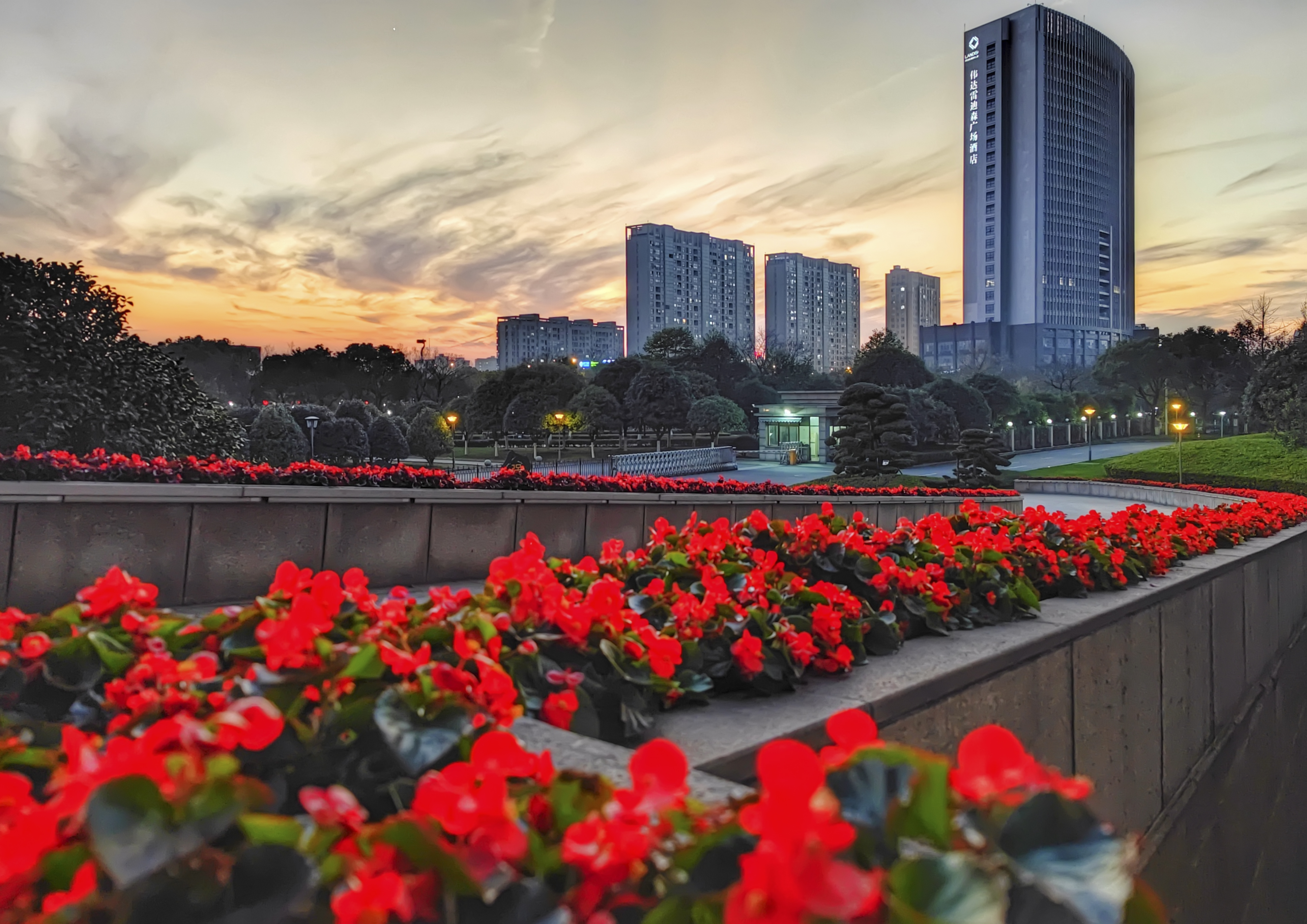 王忆舟 摄 002.jpg 王忆舟 摄 002.jpg