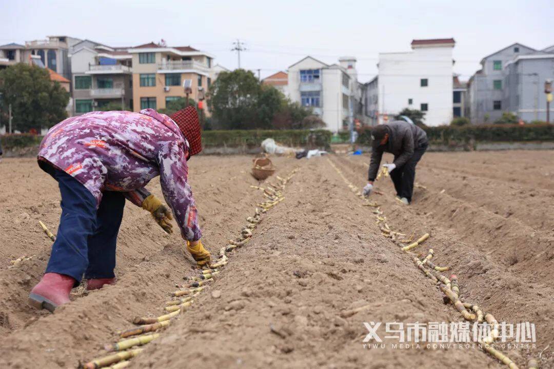 微信图片_20250211094311.jpg