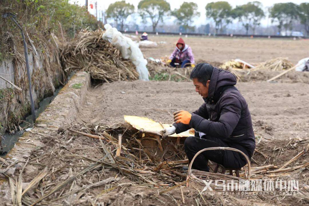 微信图片_20250211094246.jpg