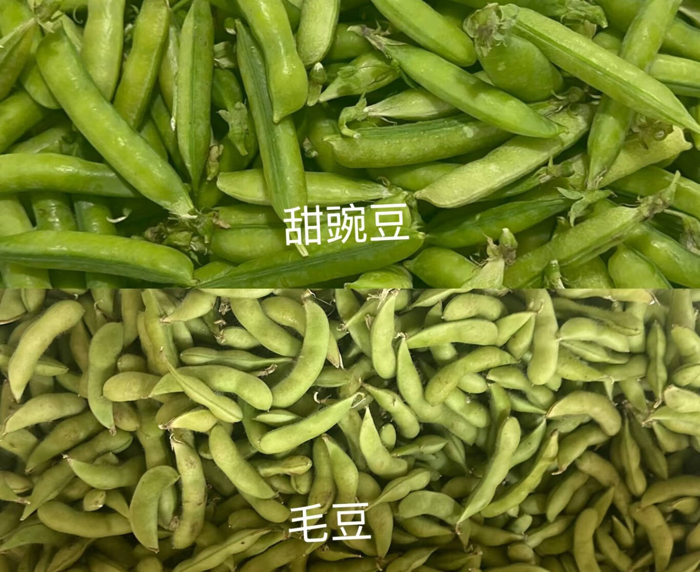 d6a84d16df0e7db1af0e3d51eab6cdd.jpg