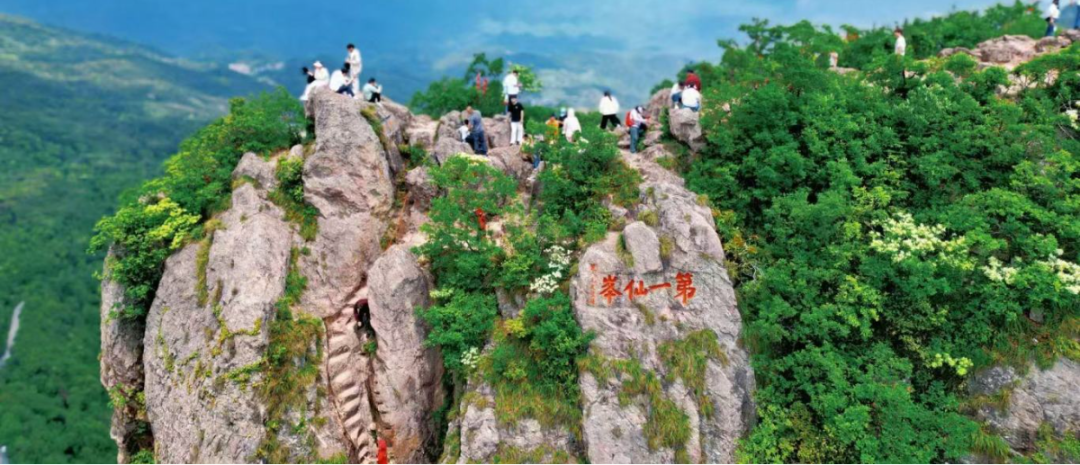 微信图片_20250520195602.jpg