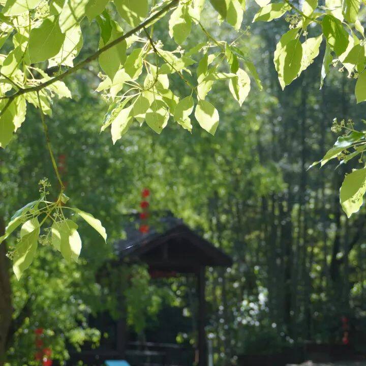 微信图片_20250520203136.jpg