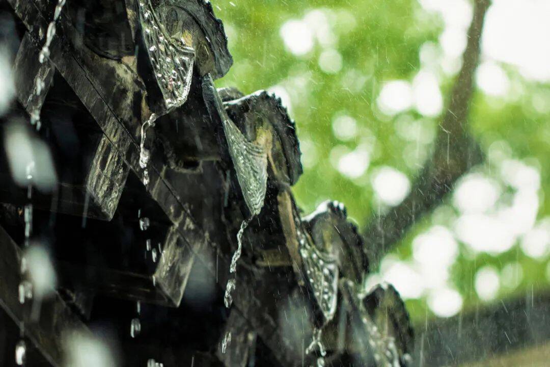 摄图网_500716317_雨(企业商用).jpg