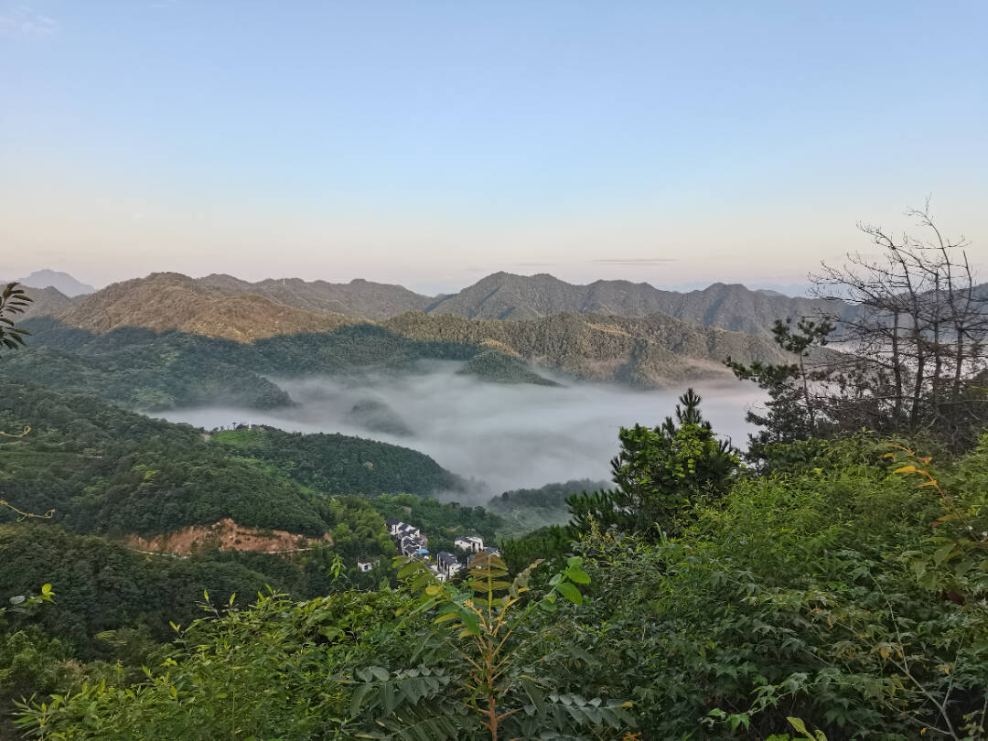 微信图片_2025-06-24_143727_544.jpg