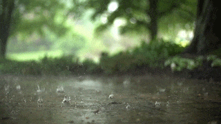 千库网_下雨天雨水滴落在地面实拍视频_GIF编号21983.gif