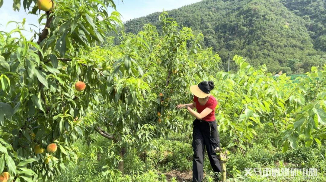 微信截图_20250726133347.png