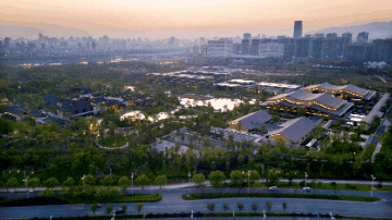 mmexport1754038112600.gif