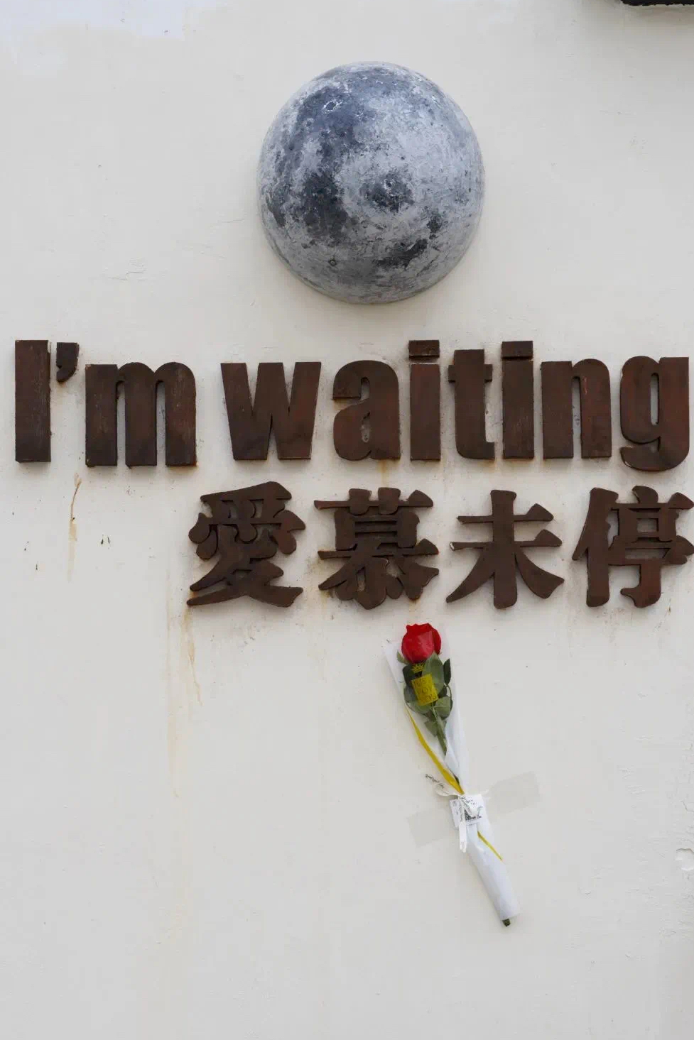 玫瑰花1.jpg