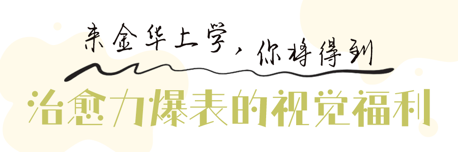 治愈力爆表的视觉福利.png