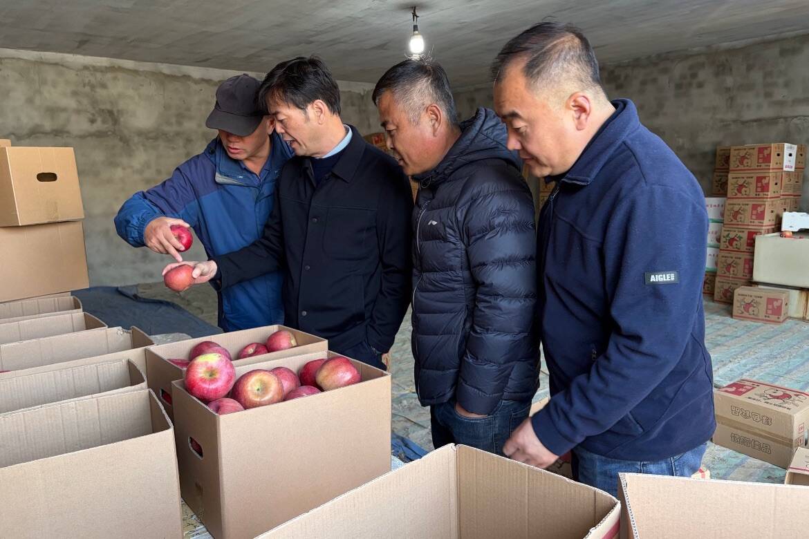 今年首批 已抵达金华