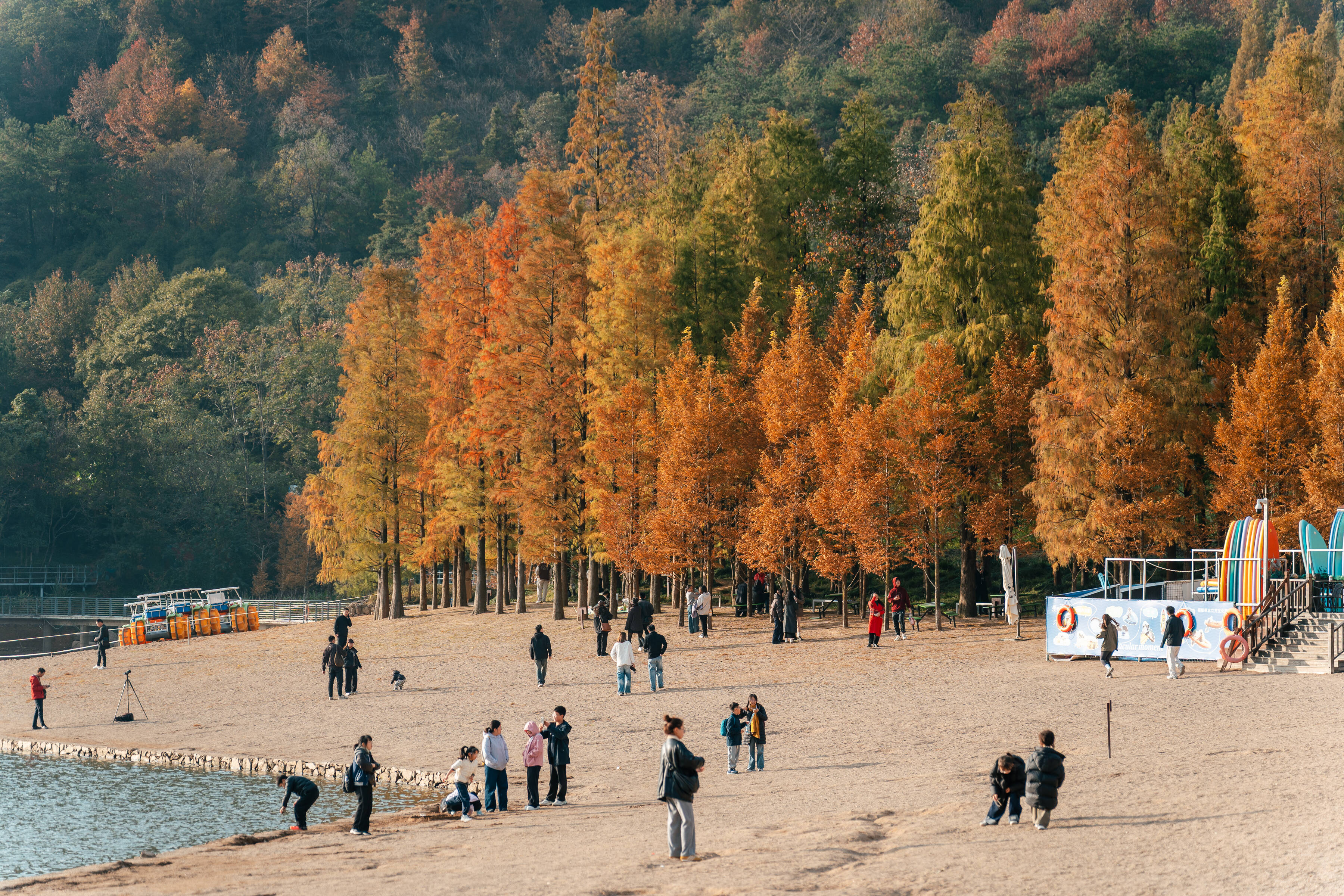 鹿女湖畔 初冬美景