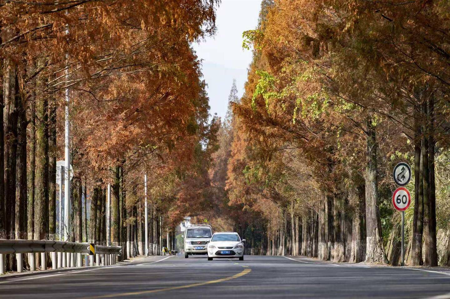 美丽农村路绘就乡村振兴新图景