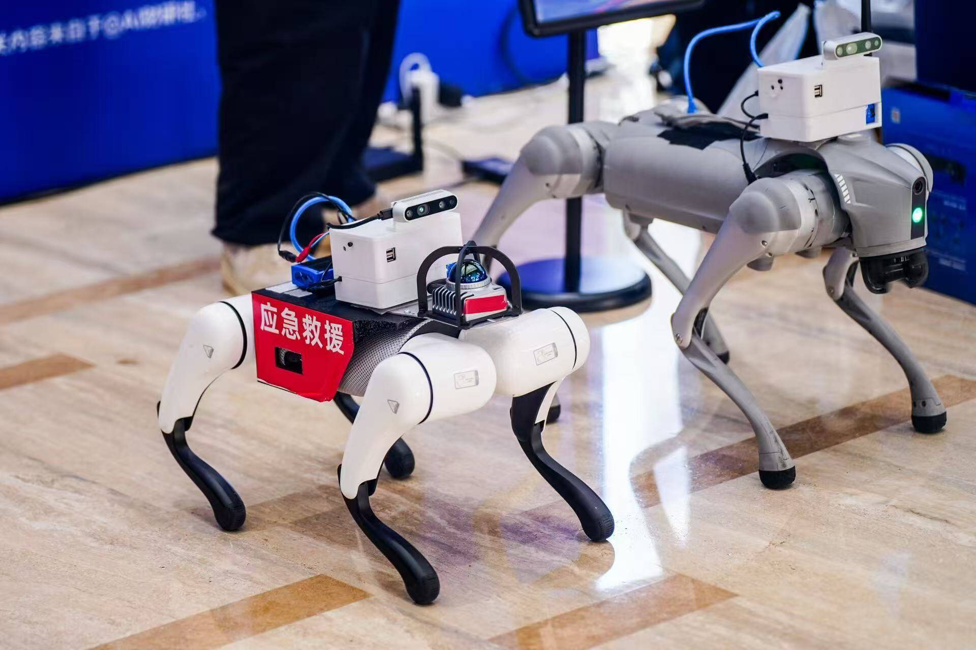 图片由金华市科技局提供。