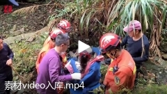 素材video入库.mp4